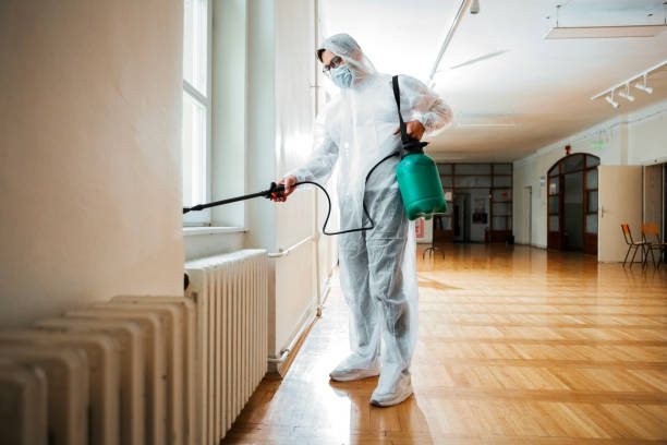 Emergency Pest Control Services in Albertson, NY